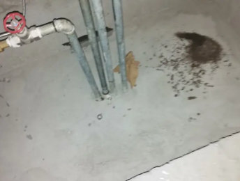 华安卫生间测漏水价格明细